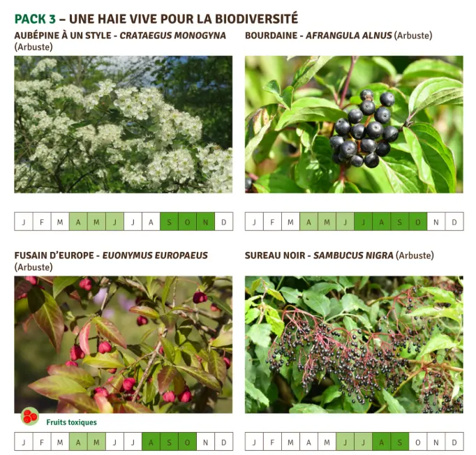 PACK 3 – UNE HAIE VIVE POUR LA BIODIVERSITÉ